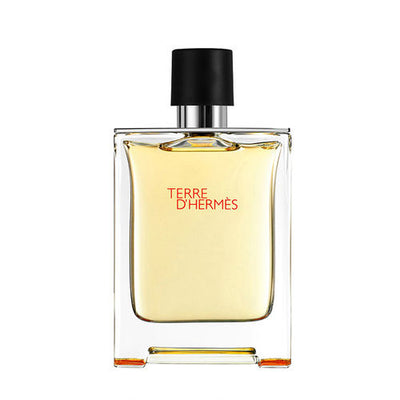 Terre d’Hermès Eau De Toilette for Men 100ml