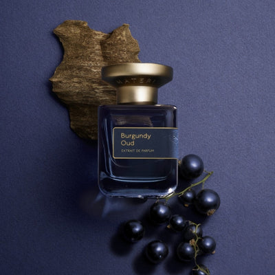 Atelier Materi Burgundy Oud Extrait de Parfum