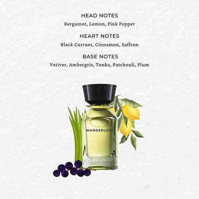 Shop Oman Luxury Wanderlust Eau de Parfum 100ml online  in India at best price 