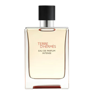 Hermes Terre D'Hermes Eau De Parfum Intense For Men